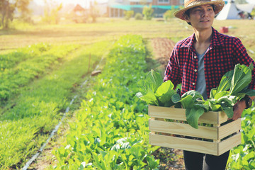 Young farmer with organic vegetables in wooden crates He is going to deliver fresh vegetables to customers.