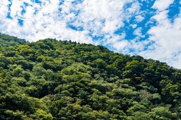 Fototapeta premium mountain view and the sky