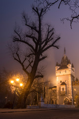 Vajdahunyad Castle in Budapest in foggy night. Mixture different cultures and architecture styles.