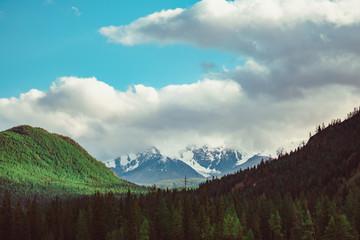 the landscape of the mountains