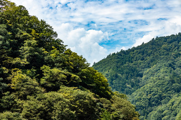 Obraz premium mountain view and the sky