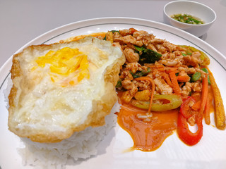 spicy chicken red curry on jasmine stream rice with fried egg