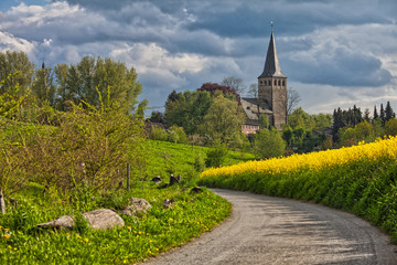 Fototapeta na wymiar church in ratingen homberg with rapeseed and road