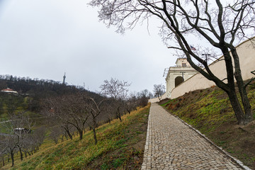 Prague is the capital and largest city in the Czech Republic, the 14th largest city in the European Union. Prague is a cultural and economic centre of central Europe complete with a rich history.