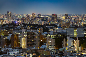 Fototapeta na wymiar Tokyo city night view and sky
