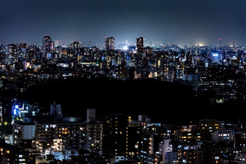 Fototapeta na wymiar Tokyo city night view and sky