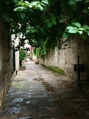 Callejon del Romance, Morelia, Michoacan, Mexico