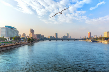 Fototapeta premium View of the Nile in the downtown of Cairo, Egypt