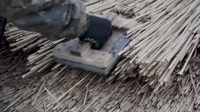 Reed roof. The master makes reed roof.