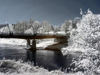 surreal infrared landscape. white trees in the background