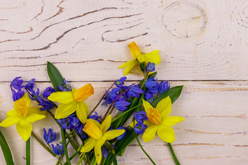 Bouquet of yellow daffodils and blue scilla flowers on white wooden background. Greeting card for...