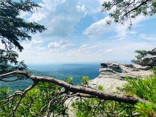 Mountain View with lush green pine trees