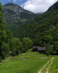 houses in the mountains of Switzerland