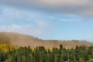 Rural Norway morning forest sunrise view. Nice sunny morning, pine trees, blue sky, scenic clouds, beautiful landscape