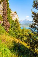 Scenic coastline nature of Garda lake under dolomite mountains. Tree and plants growing on beautiful shore of Garda lake under high rocky cliffs. Nature scenery of Lombardy, Italy