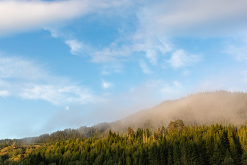 Rural Norway morning forest sunrise view. Nice sunny morning, pine trees, blue sky, scenic clouds, beautiful landscape