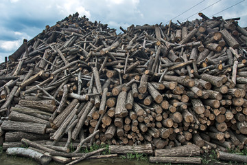 Firewood in households
