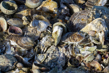 Frankreich an der Grenze zwischen Normandie und der Bretagne