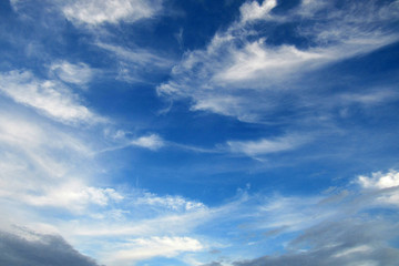 Daytime sky as a background. Summer season