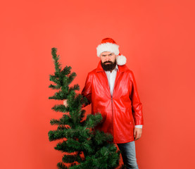 Christmas or new year, holidays. Bearded businessman in Santa hat holds Christmas tree. Merry Christmas. Happy New Year. Santa man holds christmas tree. Man holds pine tree. Santa man with fir-tree.