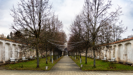 alley in the park