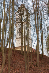 View of a tower through the trees