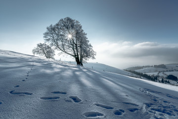 Schauinsland