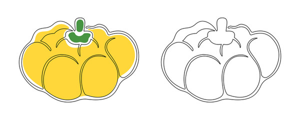 Two contour squash drawn by one solid line with and without substrates of yellow and green colors on a white background. Vector.
