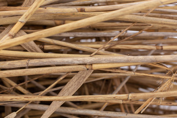 Close-up of a stack of dry reed stalks