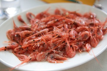 Mediterranean red shrimp, seafood on a white plate, seasoned with coarse sea salt