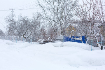 Fototapeta premium Winter, rural streets are covered with snow. Snow blizzard