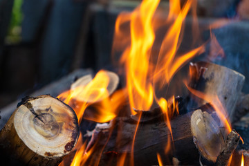 close up burning firewood bonfire
