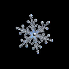 Snowflake isolated on black background. Macro photo of real snow crystal: small stellar dendrite...