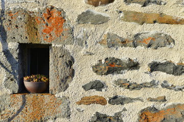 Mur de vieilles pierres et pot de petits cactés