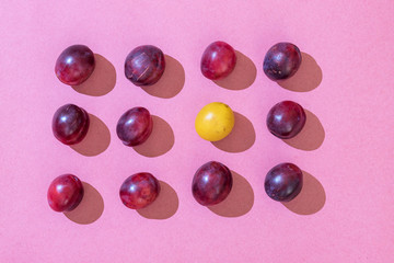 The pattern of blue homemade plums lie the same on a pink background and one yellow plum.  Flat lay, top view, copy space