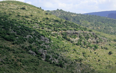 Fototapeta na wymiar view of Galillea mountains 