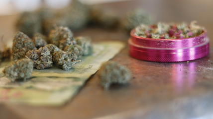 Obraz na płótnie Canvas marijuana table top photography and themed. legal in canada.