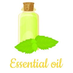 Mint essential oil bottle isolated illustration, vector clip-art.