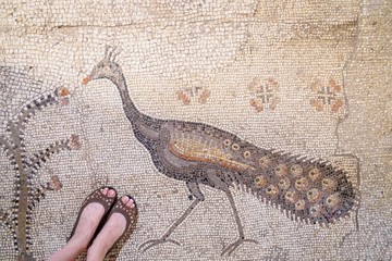 Tabgha, Israel. The Church of the Multiplication of the Loaves and Fish. Floor mosaic, details. Feet selfie