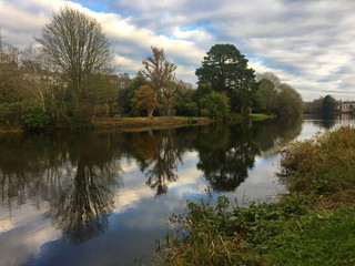 Fototapeta na wymiar River Lee and trees seen from Fitzgerald's Park in Cork city, Ireland