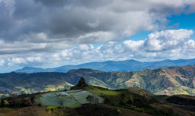 dramatic landscape image of a strawberry field high in the caribbean mountains of the dominican...