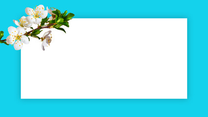 Spring greeting card for holiday with cherry flowers and white frame on gentle light blue background_