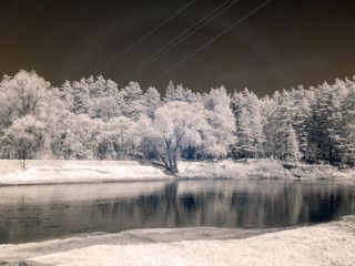 infrared photography, landscape with river and white trees on shore
