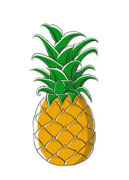 Single pineapple ilustration.