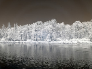 infrared photography, landscape with river and white trees on shore