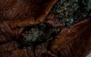 Rotten pear covered with mold and worm isolated on white background