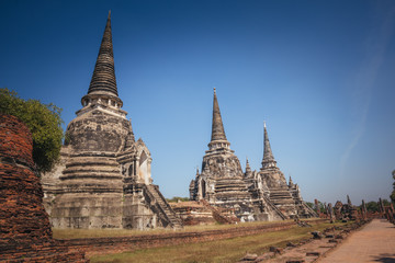 Fototapeta premium ancient pagoda in ayutthaya thailand