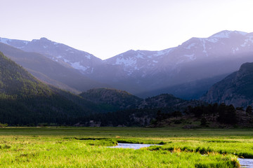 Meadow stream in Rocky Mountain National Park