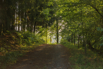 Licht am Ende des Tunnel