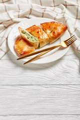 freshly baked Calzone, closed pizza, top view